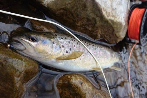 ice-fly-fishing-in-mountain-05