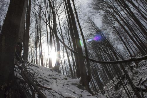 ice-fly-fishing-in-mountain-09