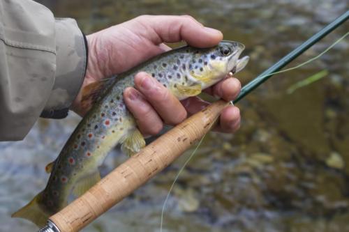 ice-fly-fishing-in-mountain-20