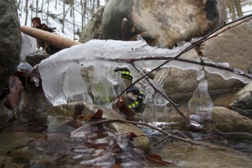 ice-fly-fishing-in-mountain-23