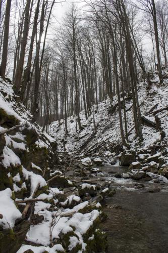 ice-fly-fishing-in-mountain-26