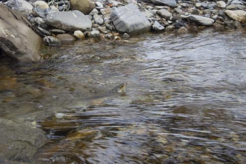 ice-fly-fishing-in-mountain-30