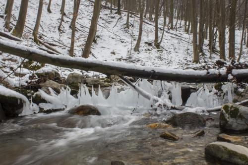 ice-fly-fishing-in-mountain-31