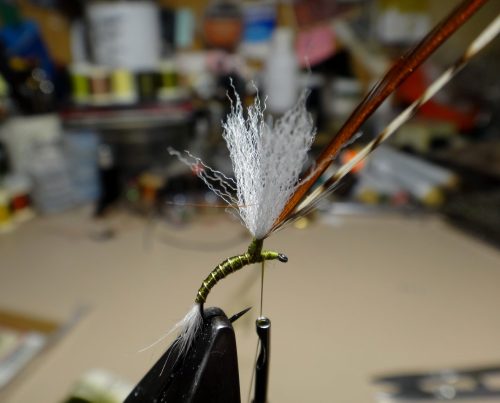 john-goddards-emerger-03