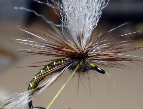 john-goddards-emerger-04