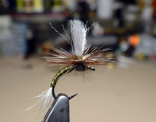 john-goddards-emerger-05