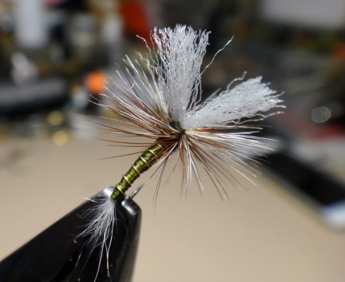 john-goddards-emerger-06