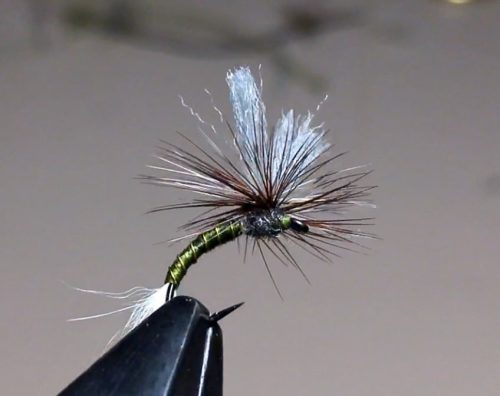 john-goddards-emerger-07