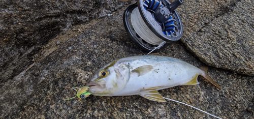 kavala-greece-salt-water-fly-fishing-03