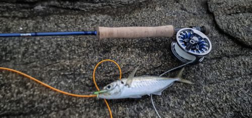 kavala-greece-salt-water-fly-fishing-05