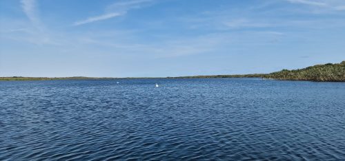 pike-fly-fishing-2023-01