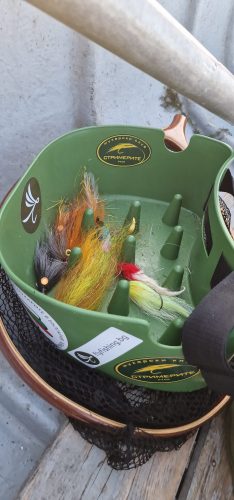 pike-fly-fishing-2023-05