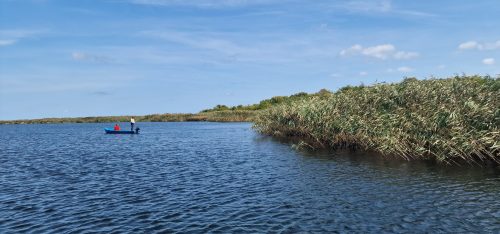 pike-fly-fishing-2023-08