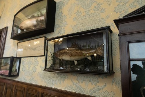 Интериорът на Kylemore Abbey в Ирландия