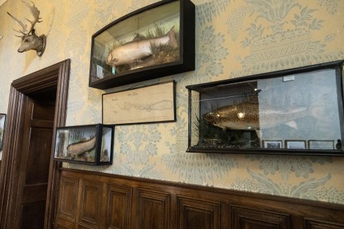 Интериорът на Kylemore Abbey в Ирландия