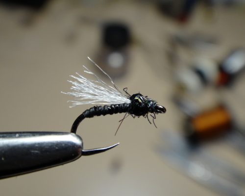 Midge-1