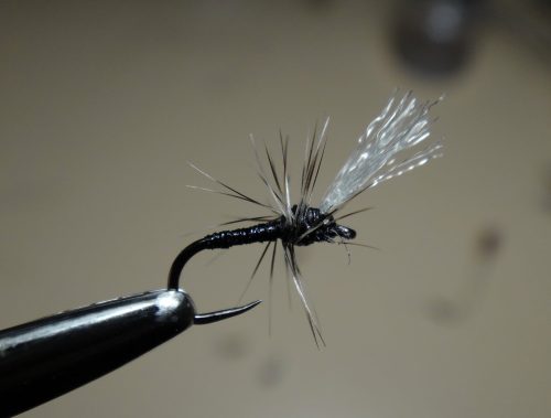 Midge-3