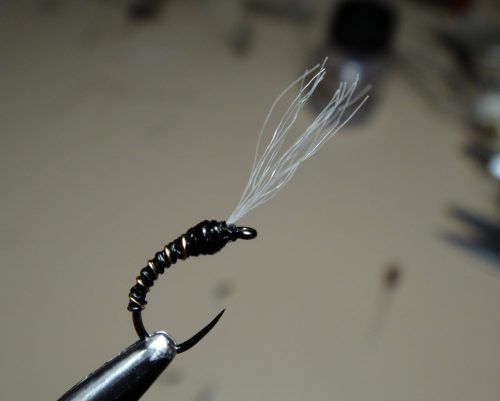 Midge-4