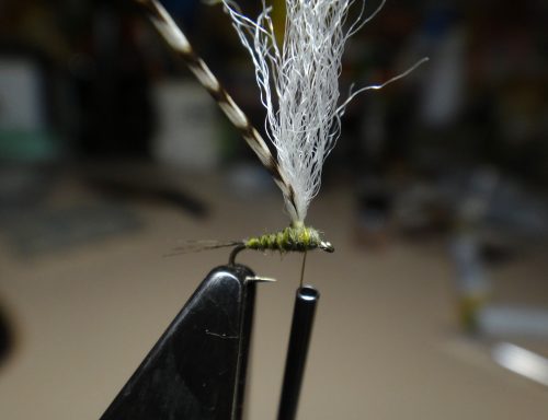 mini-dry-03