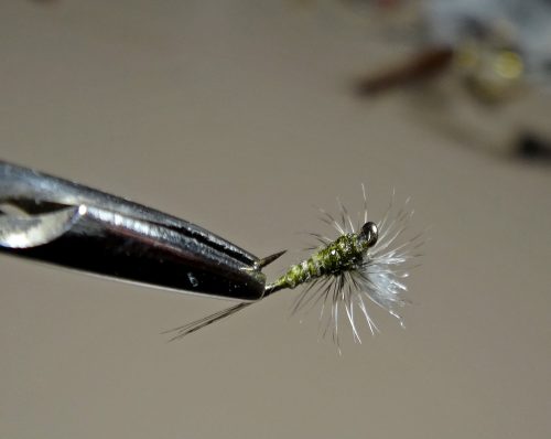 mini-dry-06