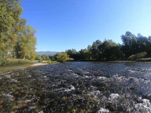 DCIM100GOPROGOPR0295.JPG