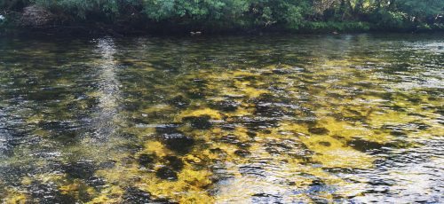 nestos-river-greece-18