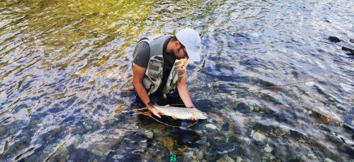 nestos-river-greece-62
