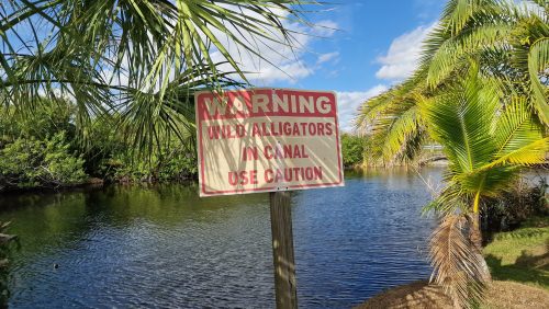 no-fishing-signs-florida-202403