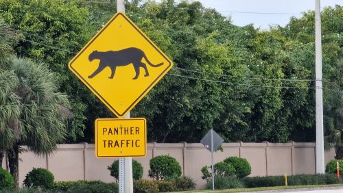 no-fishing-signs-florida-202413