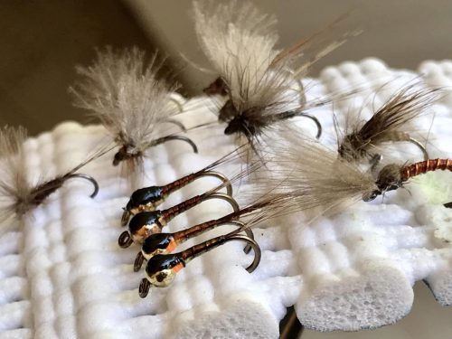 Nymph