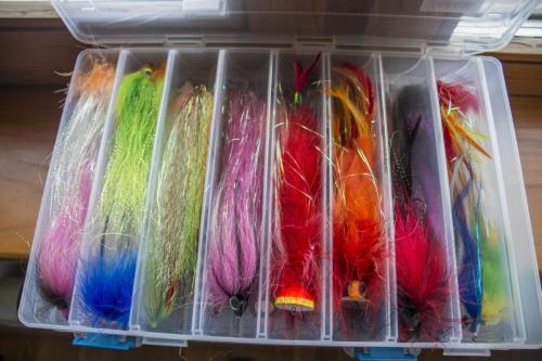 pike-streamer-01