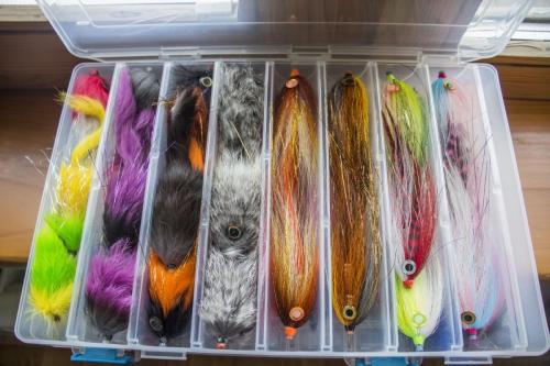 pike-streamer-02