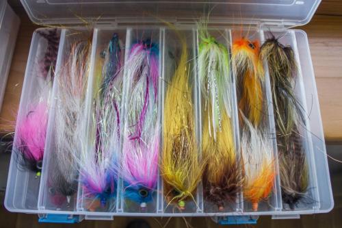 pike-streamer-03