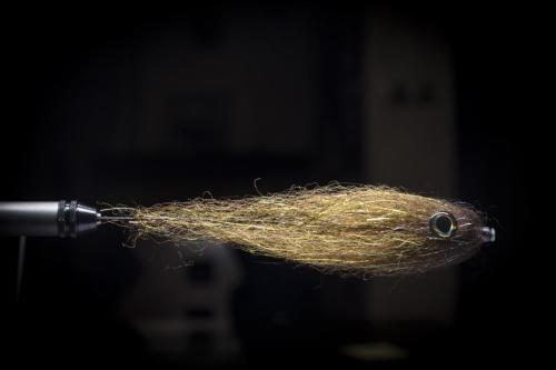 pike-streamer-11