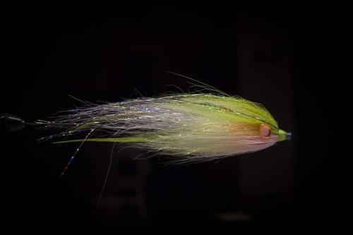 pike-streamer-14