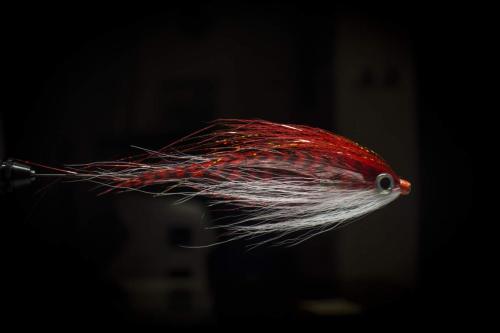 pike-streamer-18