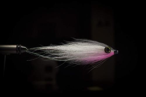 pike-streamer-21