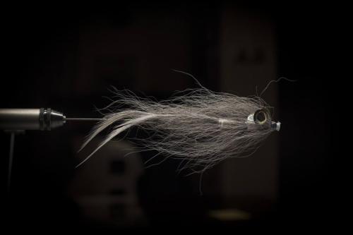 pike-streamer-23