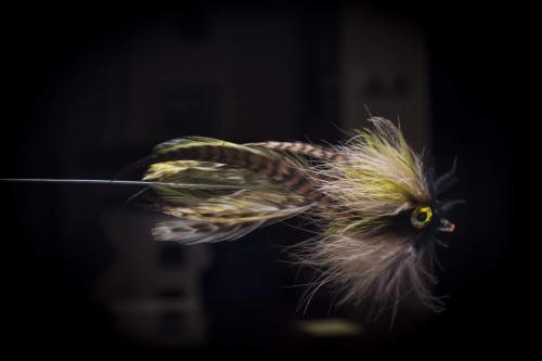 pike-streamer-25