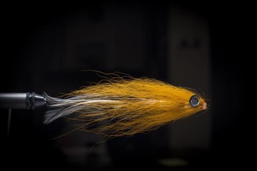 pike-streamer-27