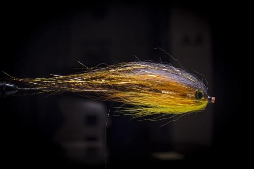 pike-streamer-28