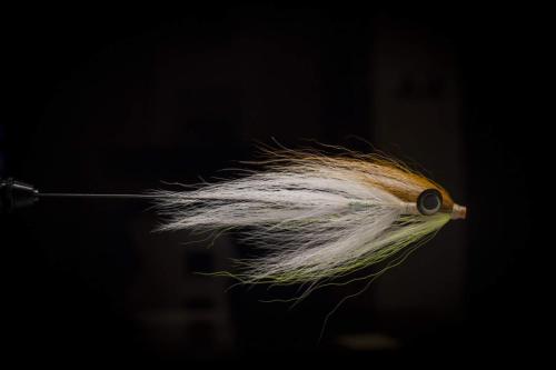 pike-streamer-29