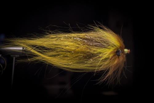 pike-streamer-31