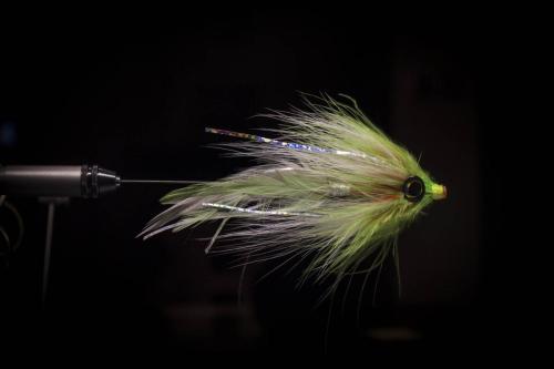 pike-streamer-32