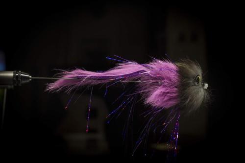 pike-streamer-34
