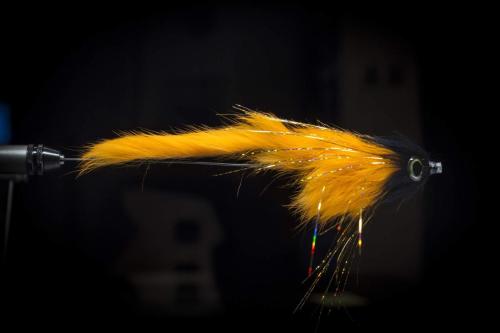 pike-streamer-35