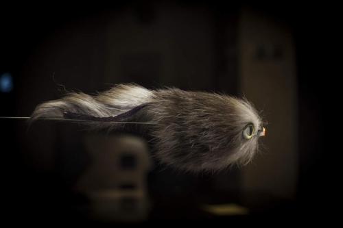 pike-streamer-36