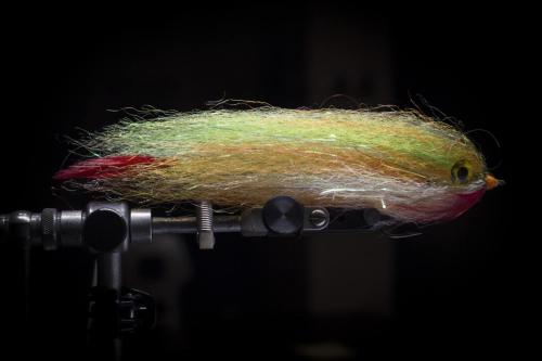 pike-streamer-38