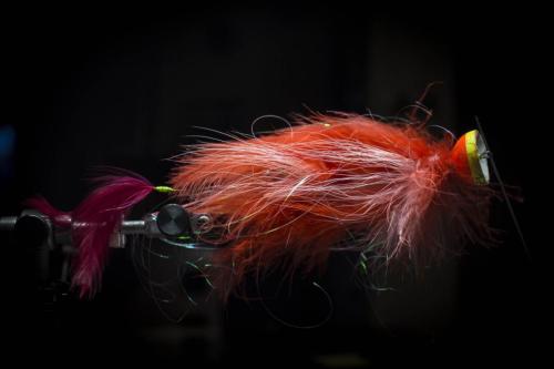 pike-streamer-39