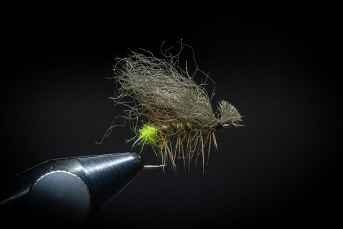 Poly Wing Caddis Sweden